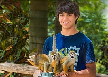 Boy Play with Squirrel Monkey