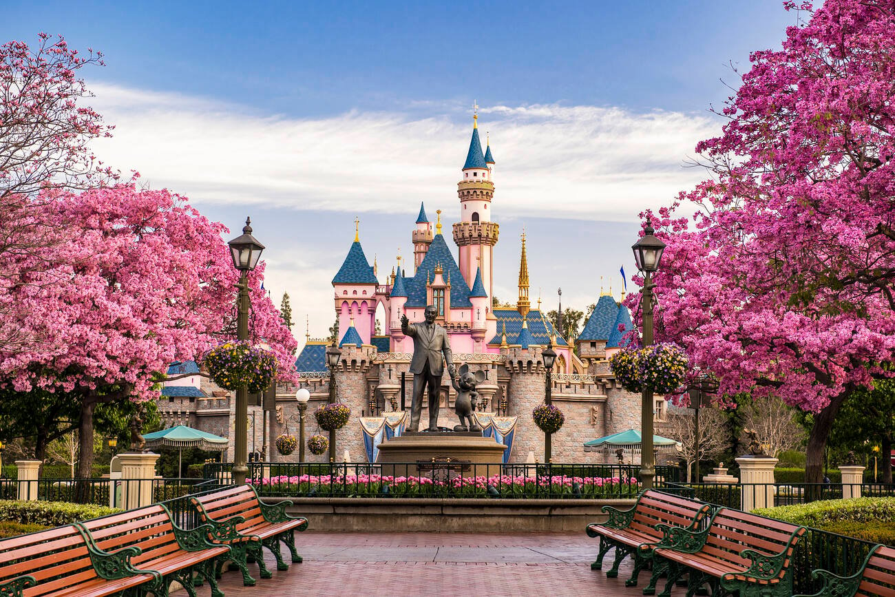 Disneyland castle