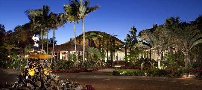 hotel drive way with palm trees